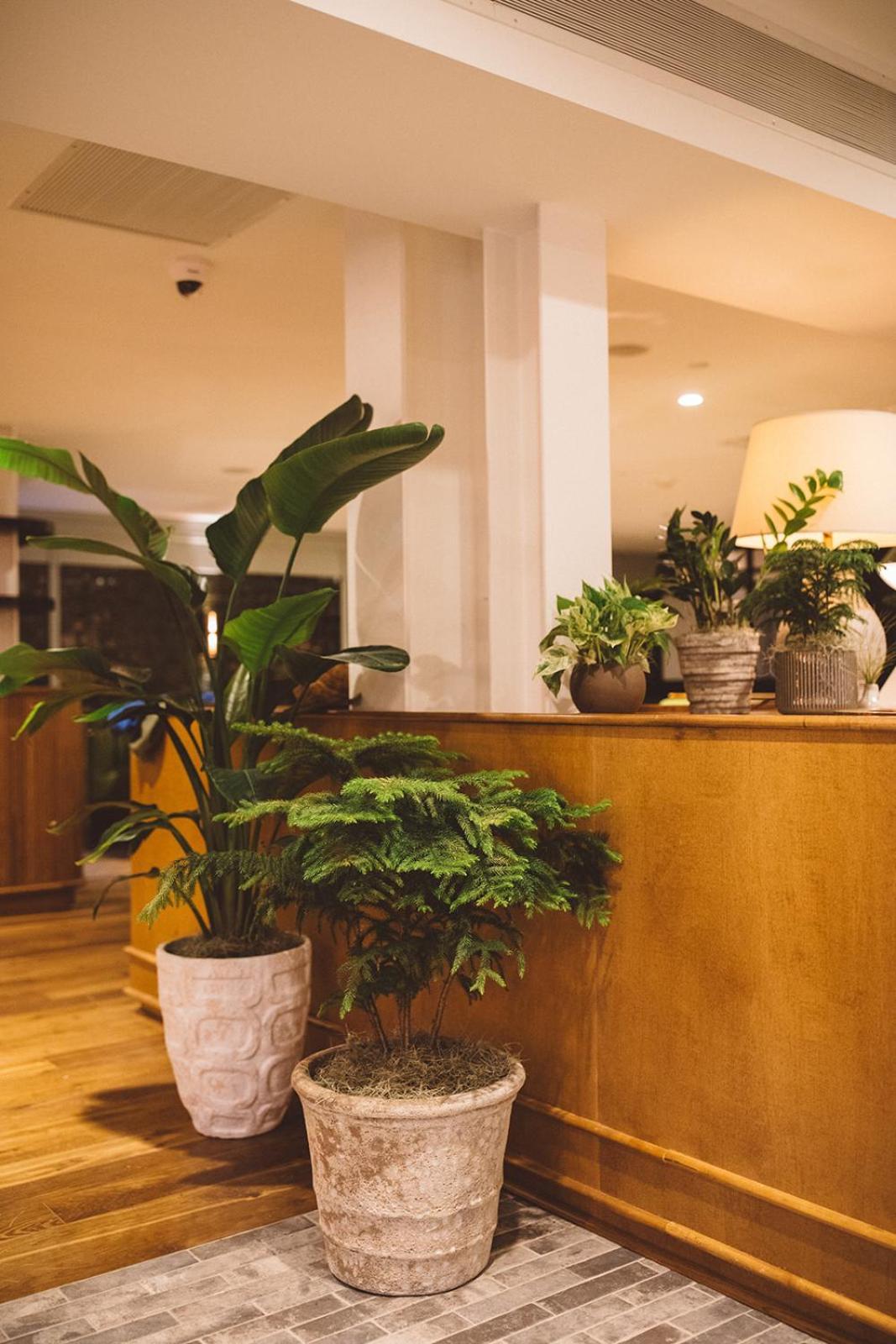 Hotel Emeline Charleston Ngoại thất bức ảnh